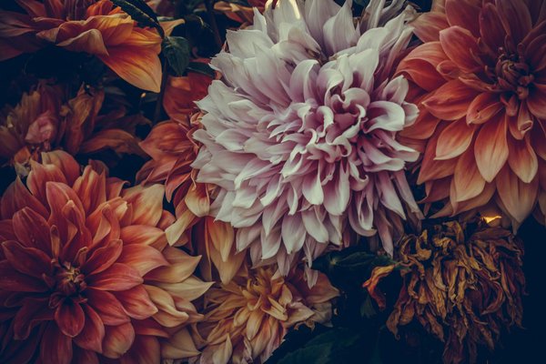 Transformez votre espace avec ces meubles de rangement modernes