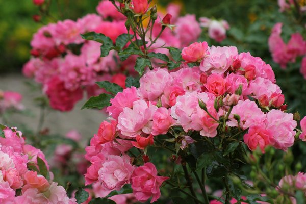 Les meilleurs destratificateurs d'air pour maximiser votre confort